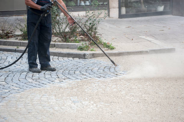 Best Animal Enclosure Cleaning  in Kittanning, PA